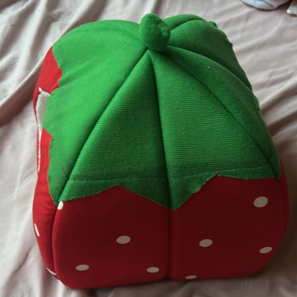 N/A strawberry pet